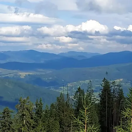 호텔 оселя 드라고브라트