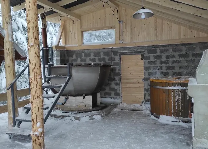 Otel оселя